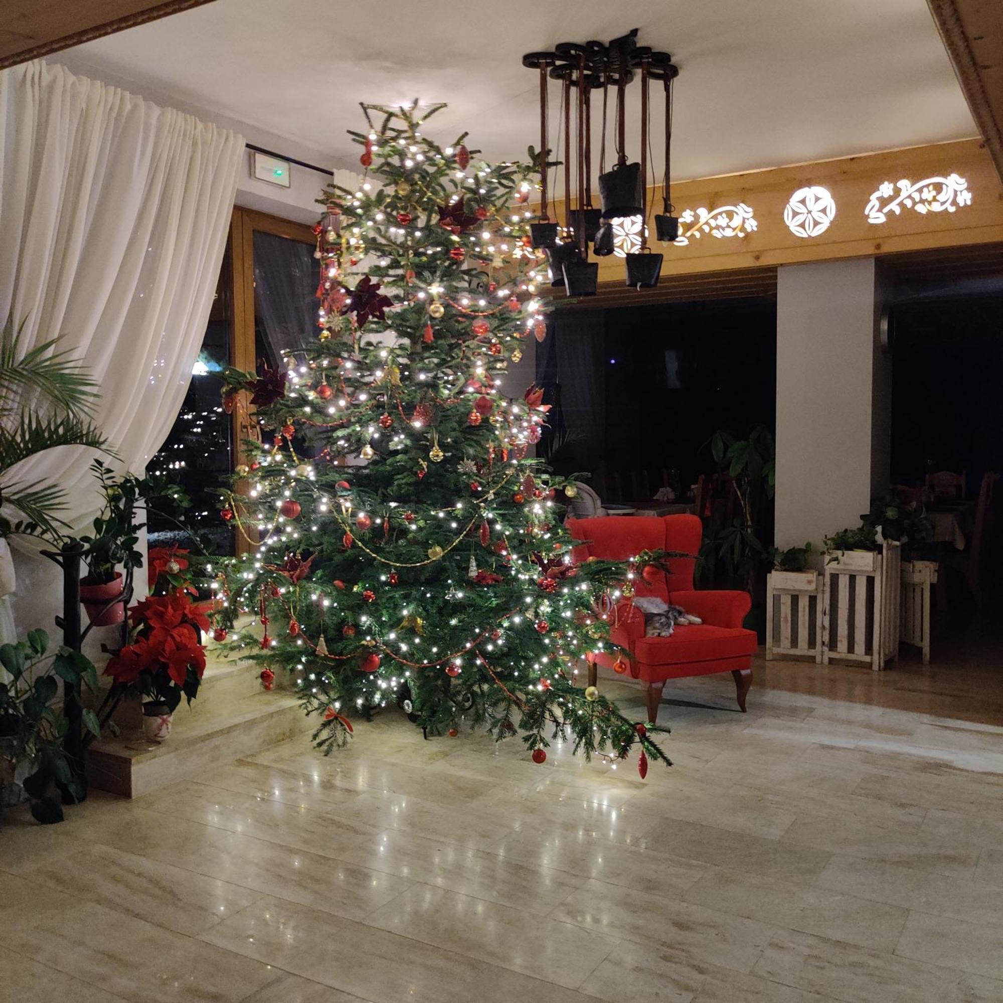Eco Willa Karpatia Ski&Wellness Murzasichle Ngoại thất bức ảnh