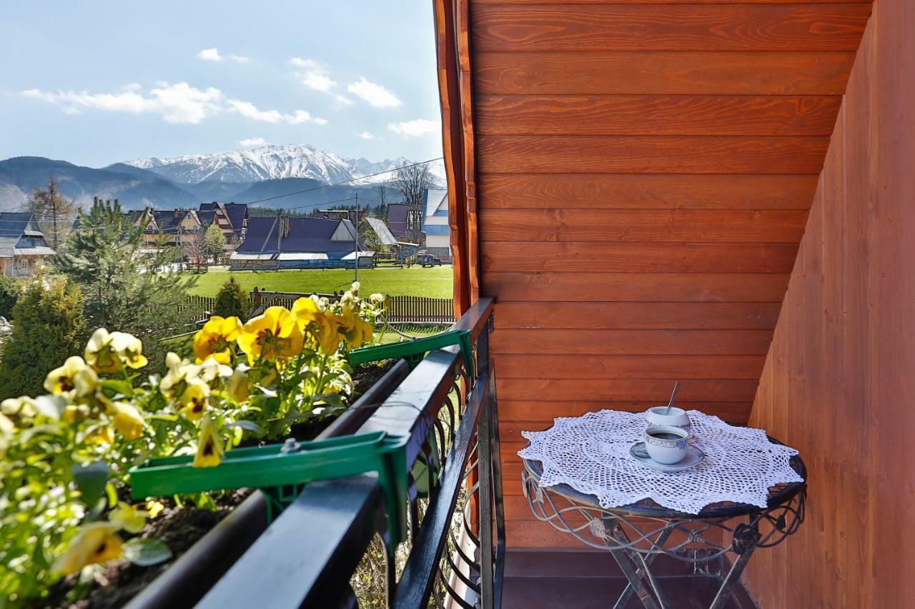 Eco Willa Karpatia Ski&Wellness Murzasichle Ngoại thất bức ảnh